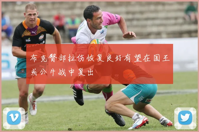 布克臀部拉伤恢复良好有望在国王或公牛战中复出